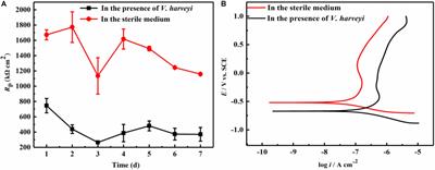 A Mixture of D-Amino Acids Enhances the Biocidal Efficacy of CMIT/MIT Against Corrosive Vibrio harveyi Biofilm